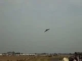 th_MOV00398.webp