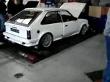 th_MOV00439.webp