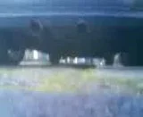 th_MOV00562.webp