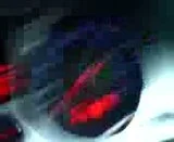 th_MOV00581.webp