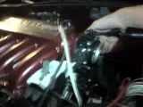 th_MOV00640.webp
