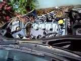 th_MOV00710.webp