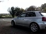 th_MOV00843.webp
