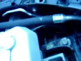 th_MOV02941.webp