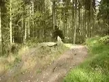 th_MOV05457.webp