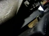 th_P1010129.webp