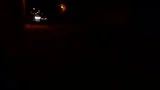 th_P1010928-2.webp