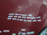 th_P6170026.webp