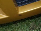 th_P6170031.webp