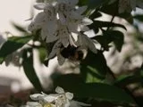 th_P6200067.webp