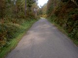 th_PICT2334.jpg
