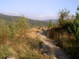 th_PICT2335.jpg