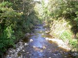 th_PICT2337.jpg