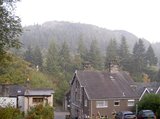 th_PICT2338.jpg