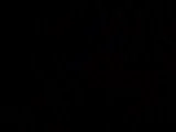 th_S1030784.webp