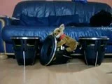 th_STA60260.webp