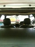 th_stevespics624.webp