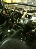 th_stevespics642.webp