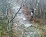 th_VID009.webp