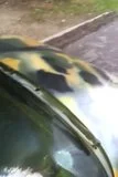 th_video-2011-11-05-16-35-15.webp