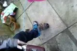 th_video-2012-02-19-16-38-53.webp
