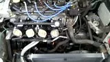th_VIDEO0015.webp