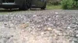 th_Video0021.webp