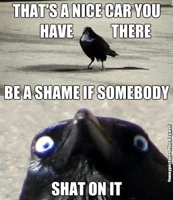 That-Is-A-Nice-Car-You-Have-There-Funny-Bird-s**t-On-It.webp