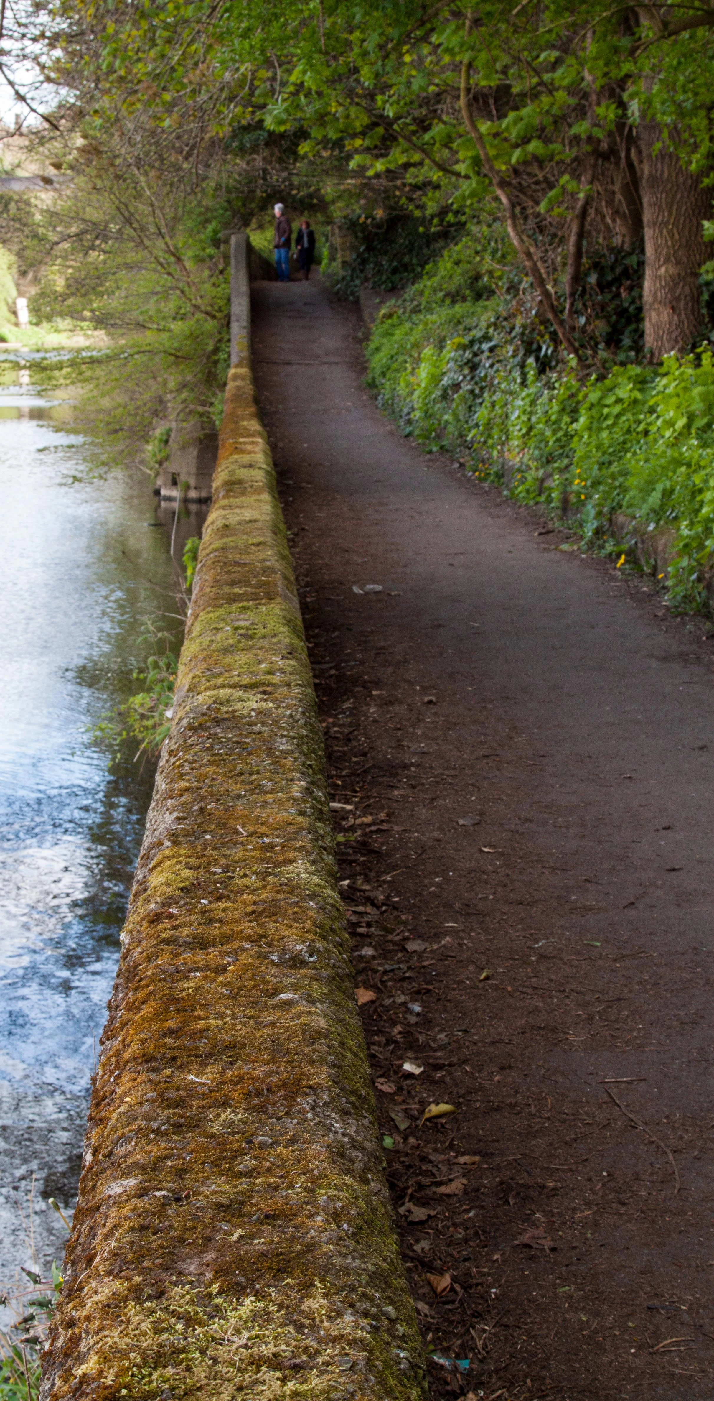 The Straight Wall.webp