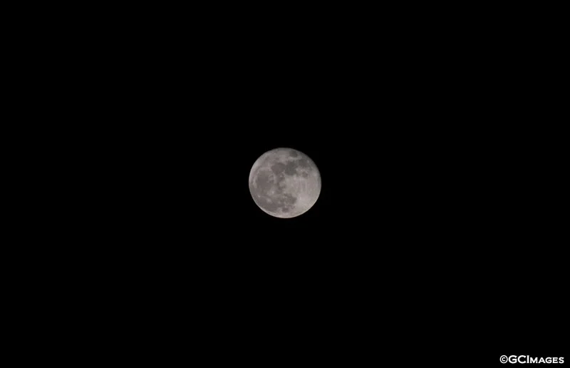 Themoon.webp