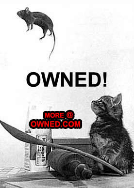 thisismylunchowned.jpg
