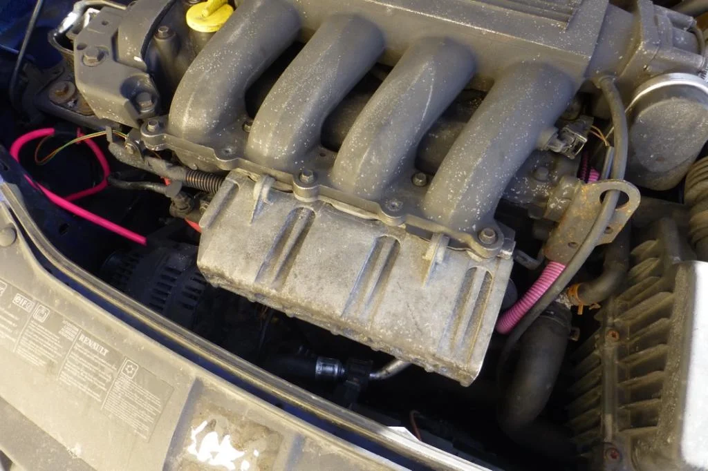 thumb_P1090954_1024.webp