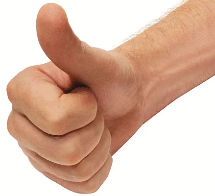 thumbs_up.webp