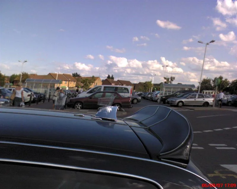 tifosi62ren.webp