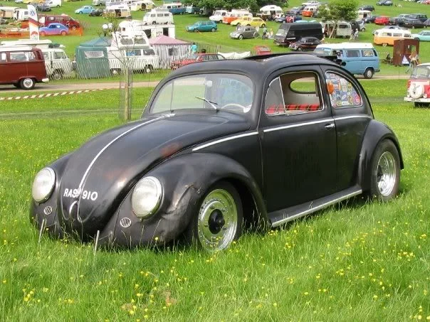 timsragtop.webp