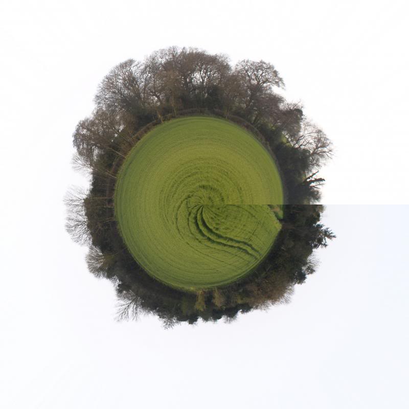TinyPlanetField.jpg