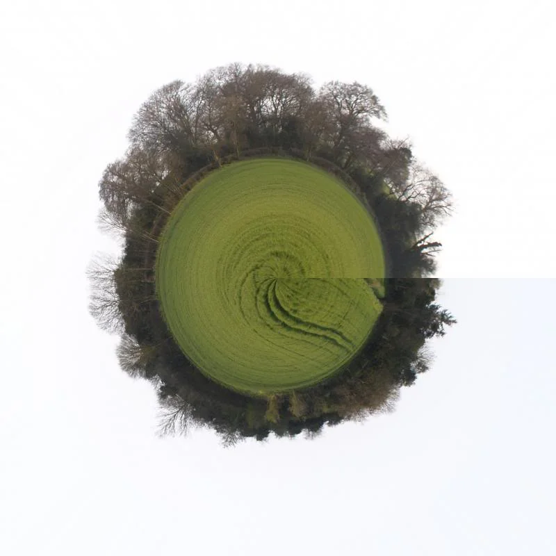 TinyPlanetField.webp
