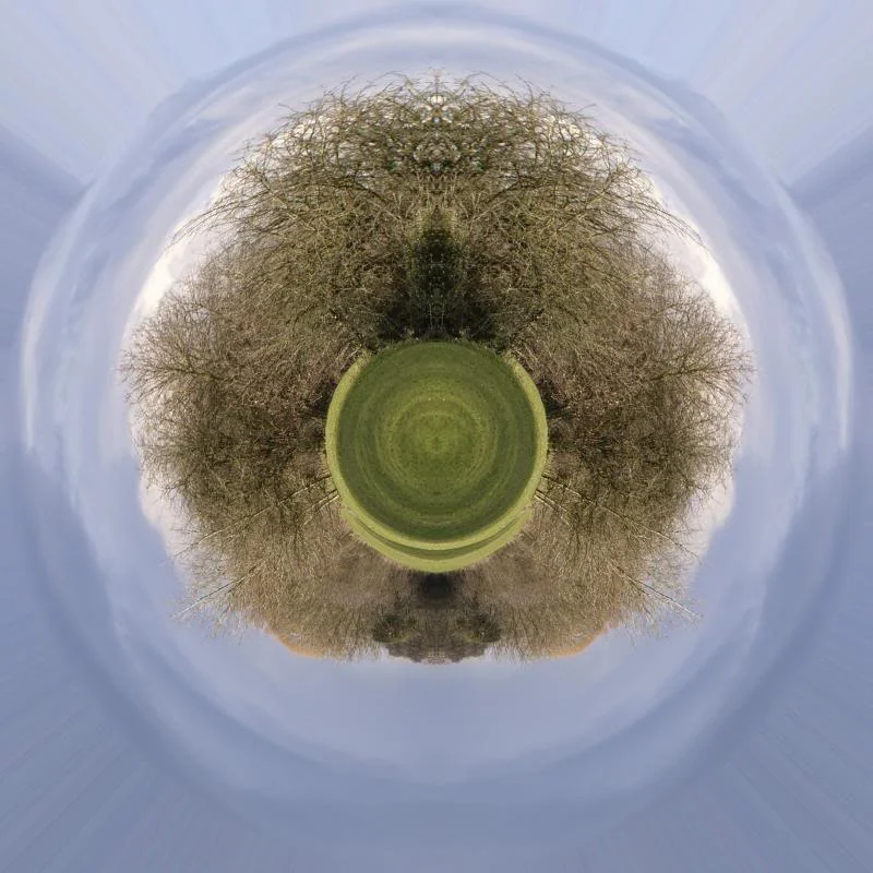 TinyPlanetPark.webp