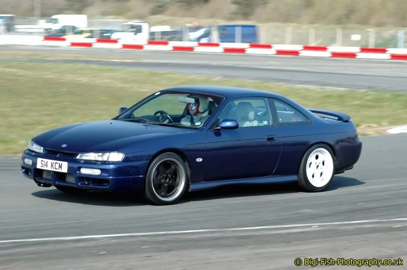 tn_DSC_8785copy.webp