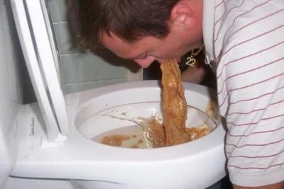toilet_puke.webp
