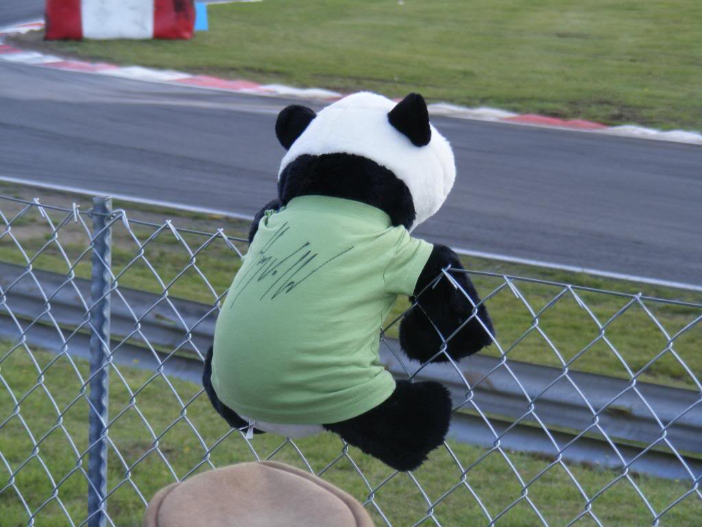 Touringcars09034.jpg