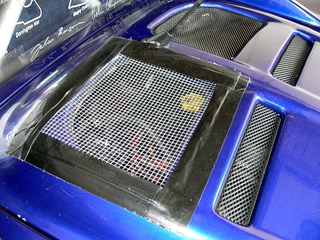 TrackRatElise007.jpg TrackRatElise007.jpg