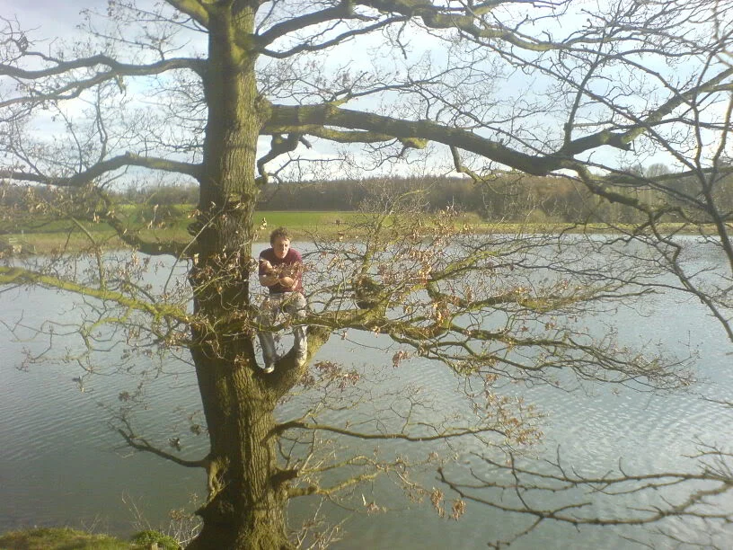 Tree.webp