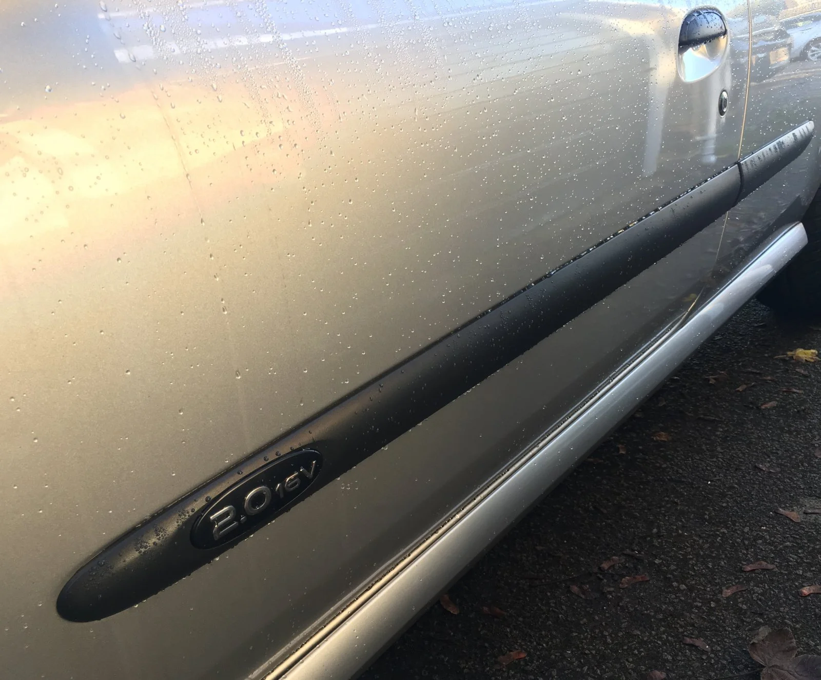 trim side.webp