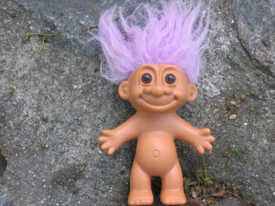 troll_web.webp