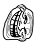 Trollface-1.png