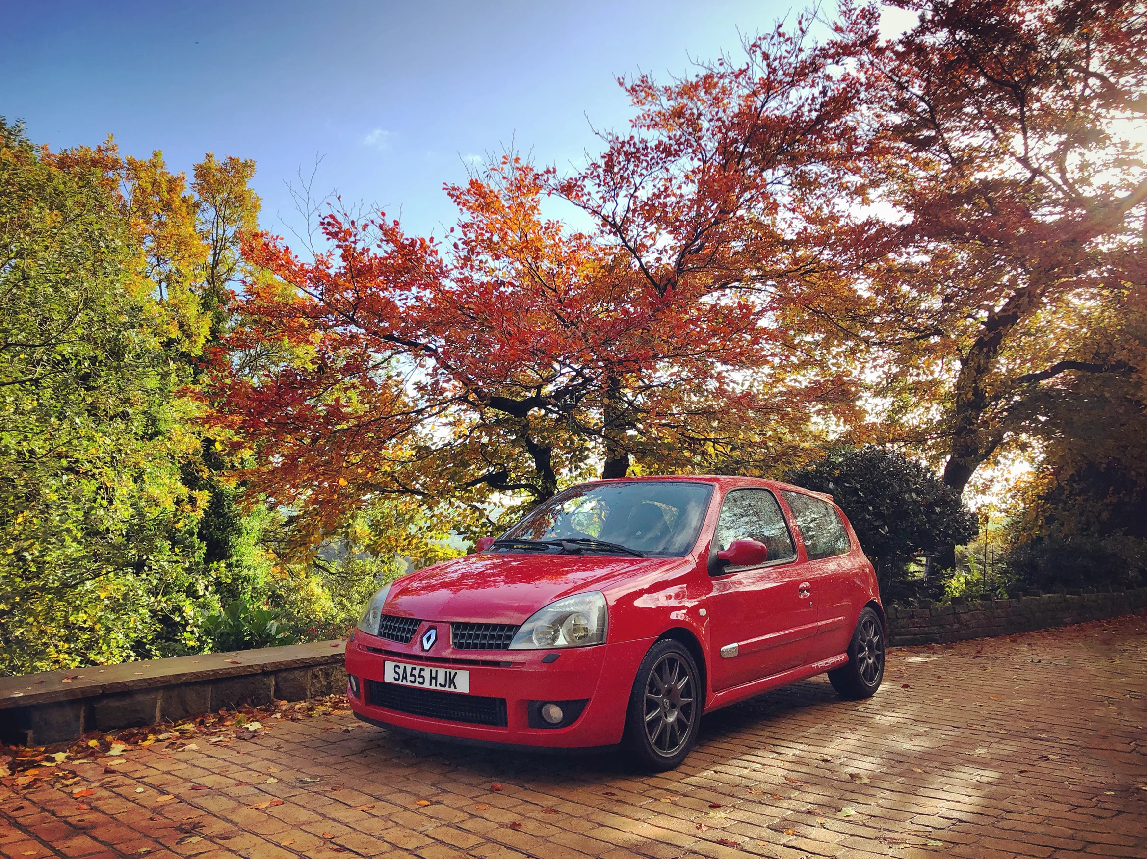 Trophy_Autumn_2021_Sun1.jpg
