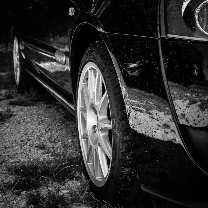 turini-05.webp