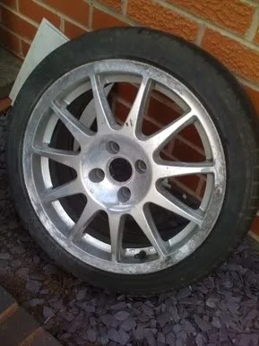 Turini1.webp