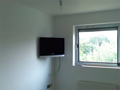 tv6.webp